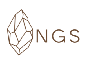 PT. Nusa Geosource Solution logo