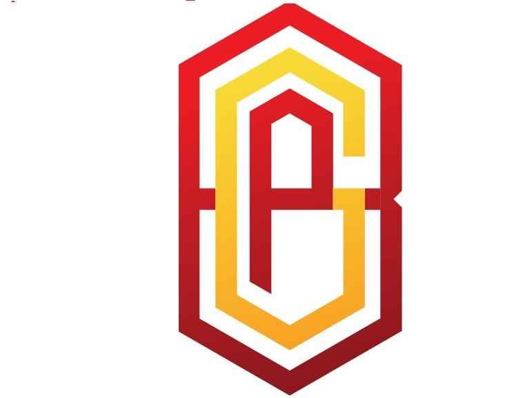 Logo PT Biruni Geo Pratama
